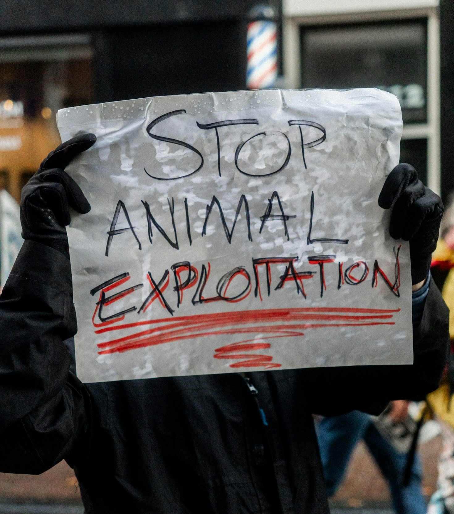 How Ethical Eating Impacts the Planet