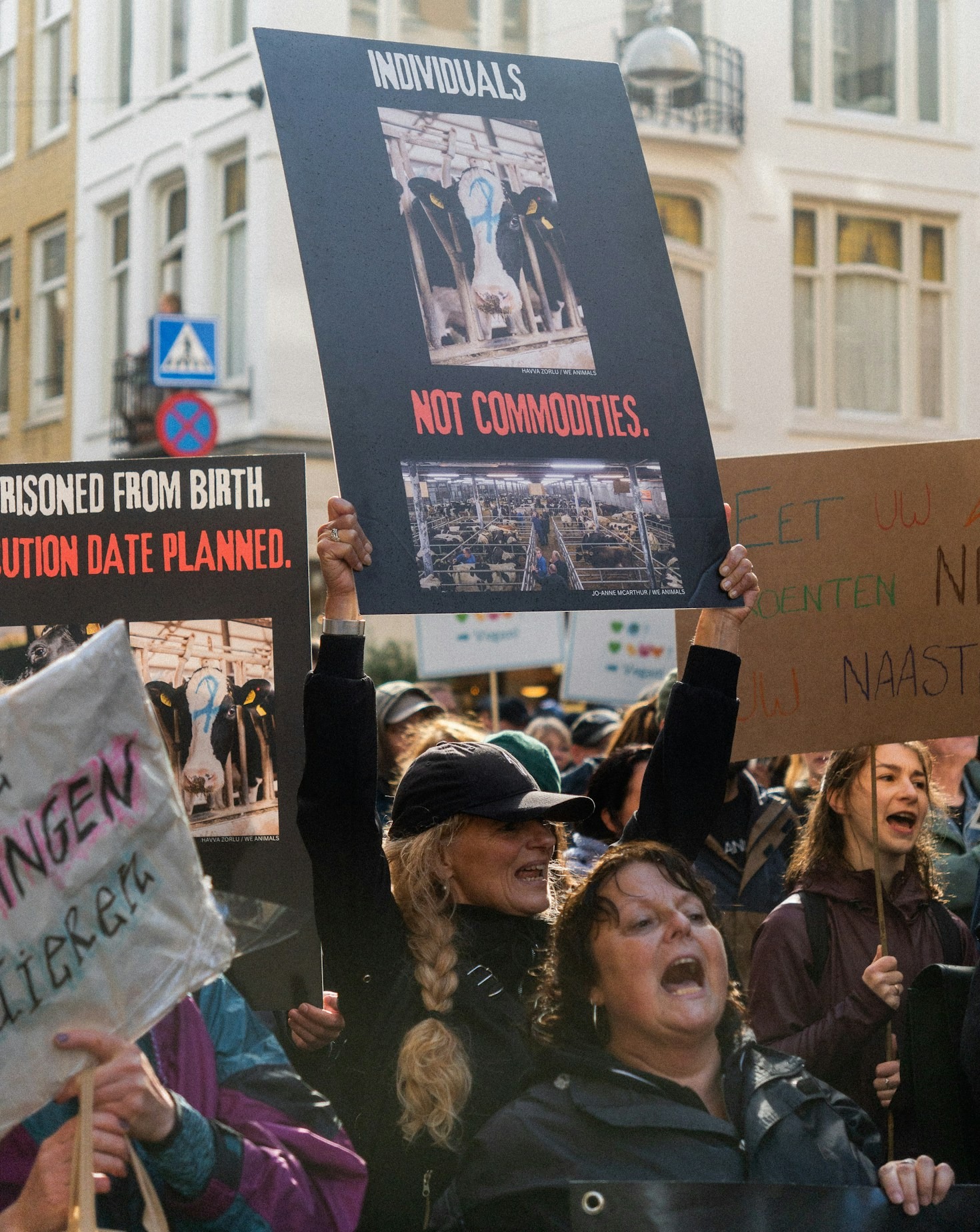 Steps to Transition to an Ethical Diet