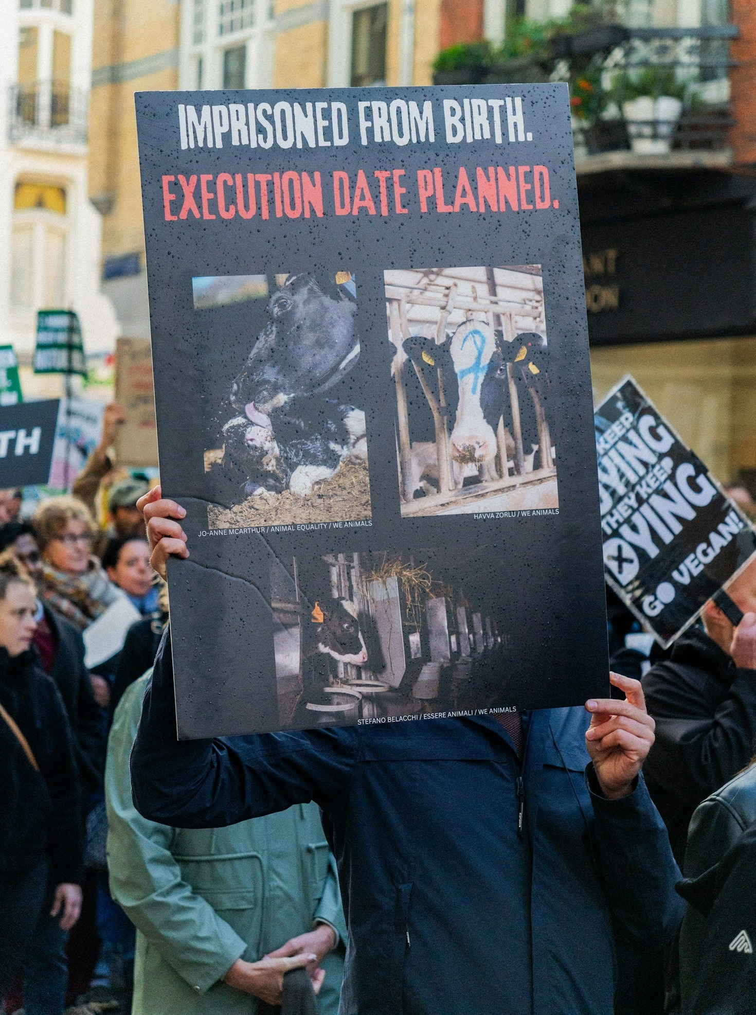 Stories from Our No-Kill Suppliers